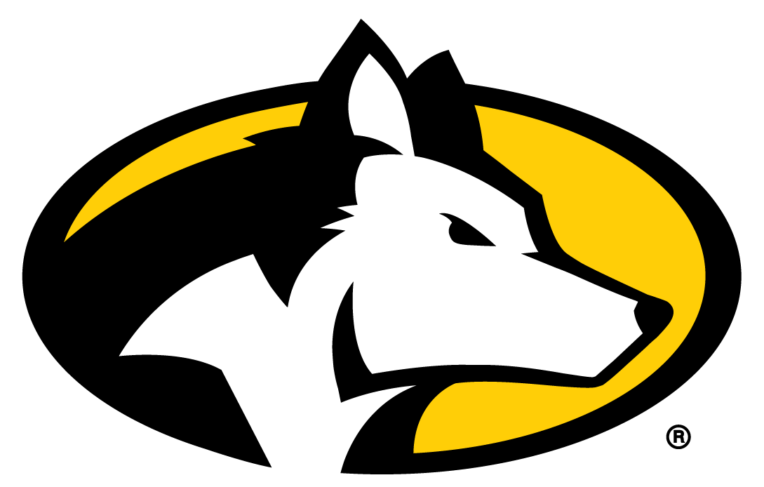 Michigan Tech Huskies 2016-Pres Partial Logo diy iron on heat transfer...
